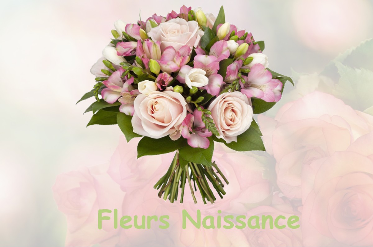 fleurs naissance PRUNAY-SUR-ESSONNE